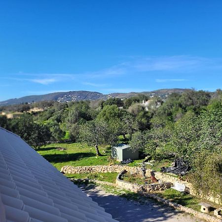 Santa Bárbara de Nexe Vista Magica B&B מראה חיצוני תמונה