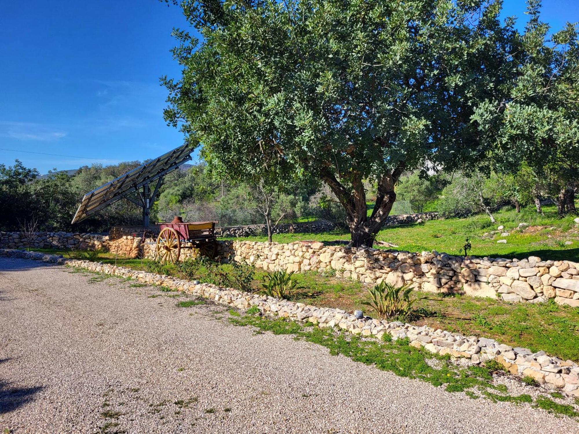 Santa Bárbara de Nexe Vista Magica B&B מראה חיצוני תמונה
